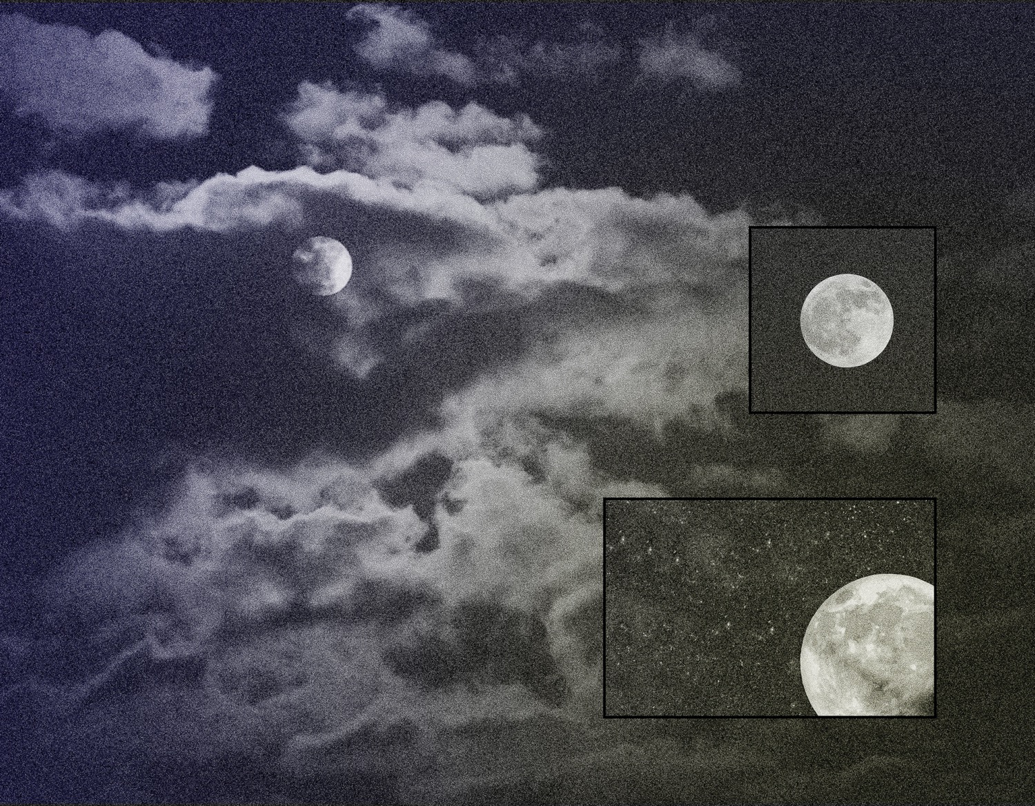 Moonlit Night